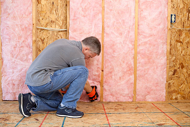 Best Home Insulation Services  in Millersburg, OH